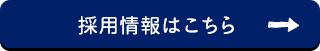 採用情報を見る